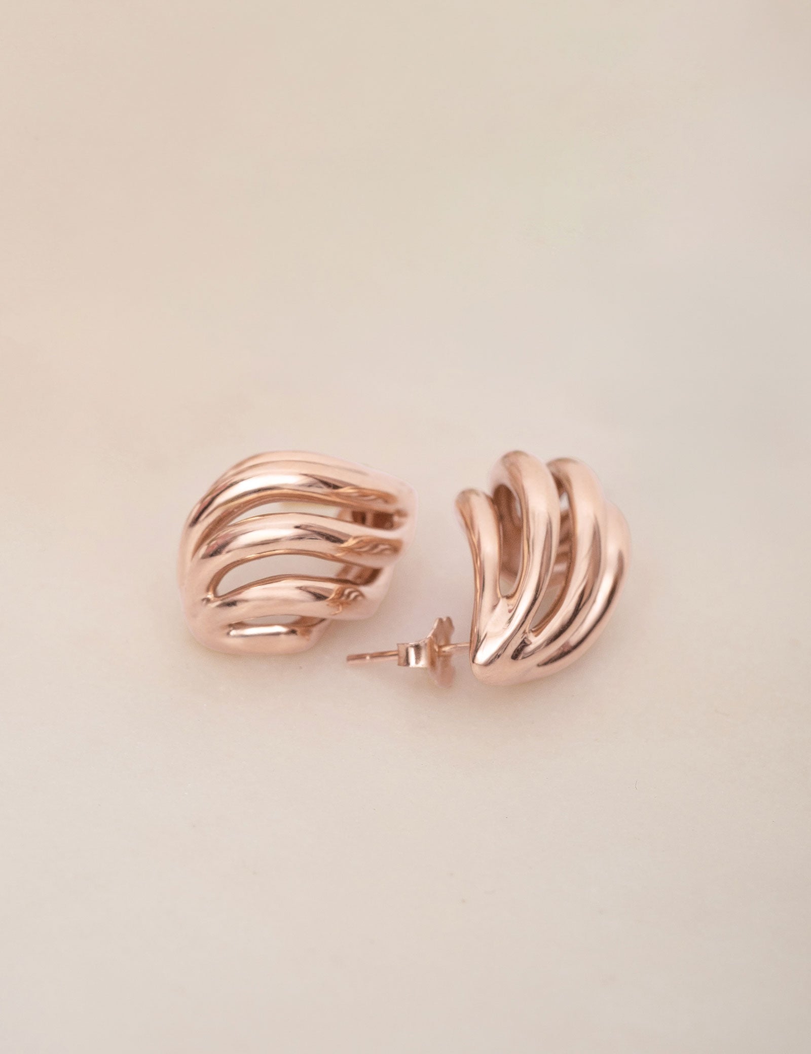 Conch Earrings