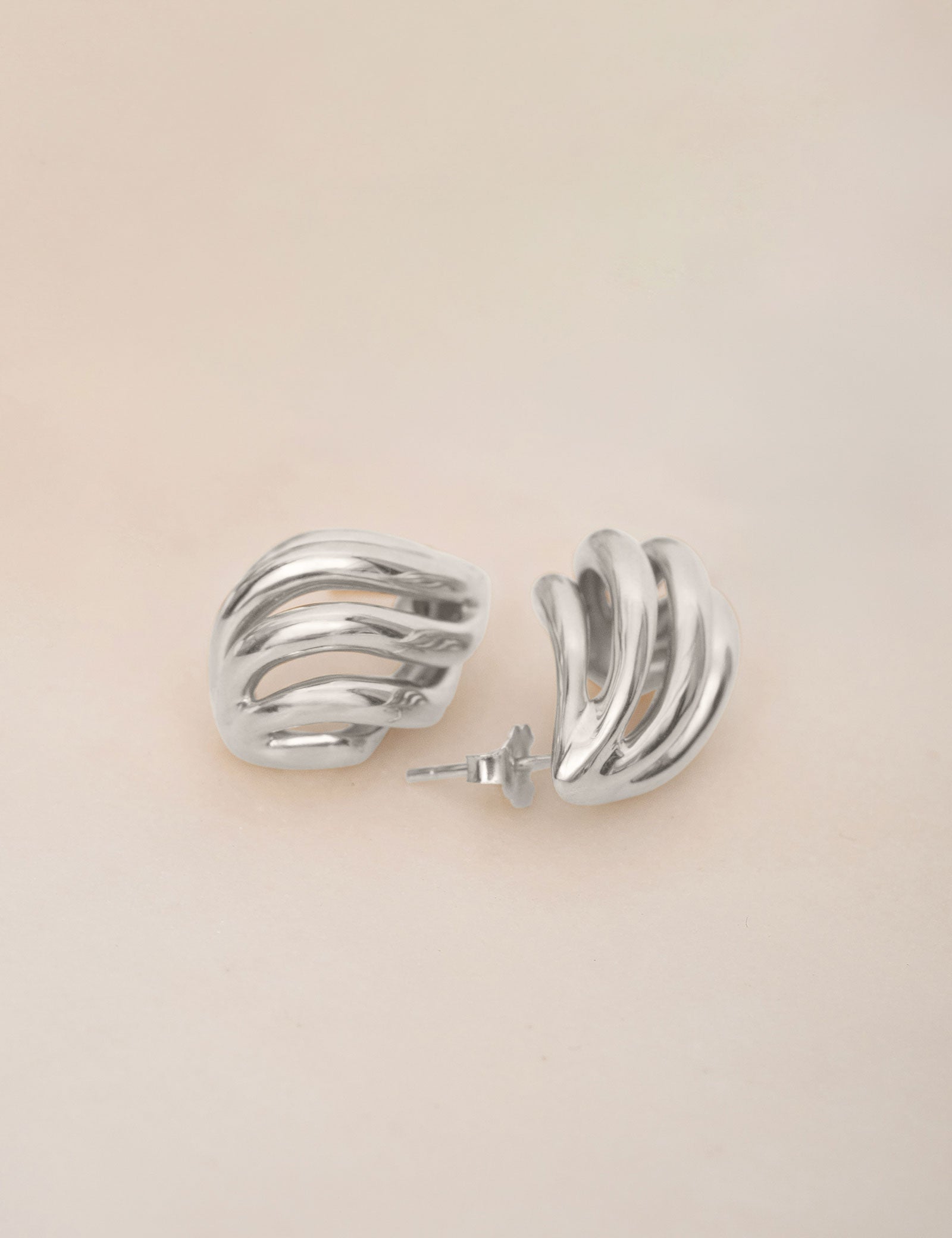 Conch Earrings