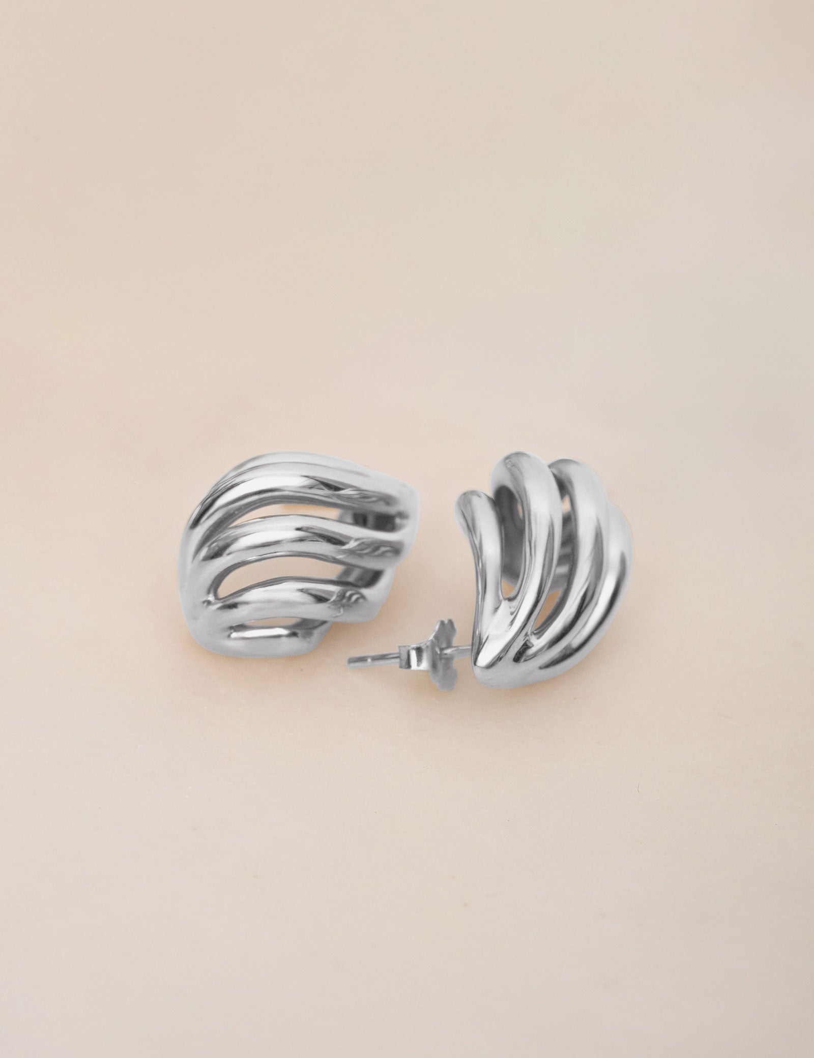 Conch Earrings